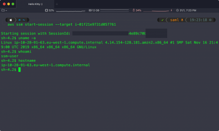 Connecting to AWS EC2 instance using SSH over AWS SSM - eMarcel.com